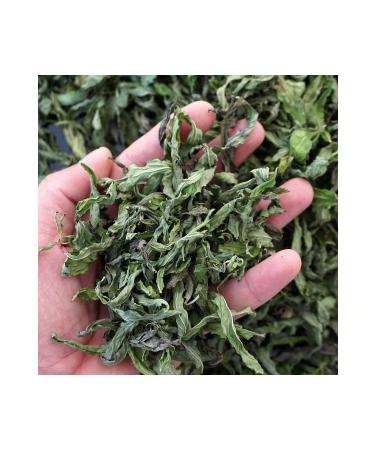 Drug-free Market Medicinal Mint / 50 gr. - Buy Online on GoSupps.com