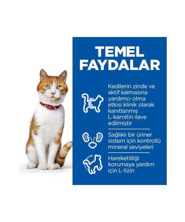 Hill's Adult Sterilized Salmon Sterilized Cat Food 10 Kg - Buy Online on GoSupps.com