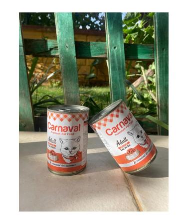 Carnaval Premium Adult Cat Canned Food with Salmon 400 gr X 12 Pieces - Buy Online on GoSupps.com