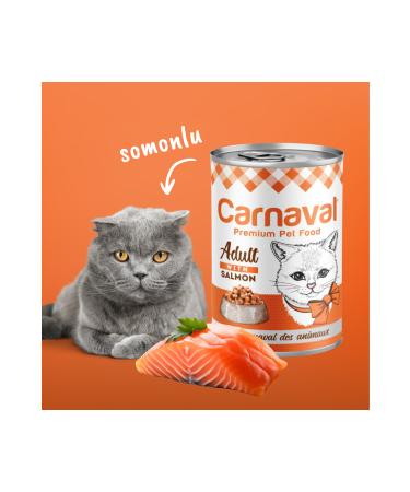 Carnaval Premium Adult Cat Canned Food with Salmon 400 gr X 12 Pieces - Buy Online on GoSupps.com