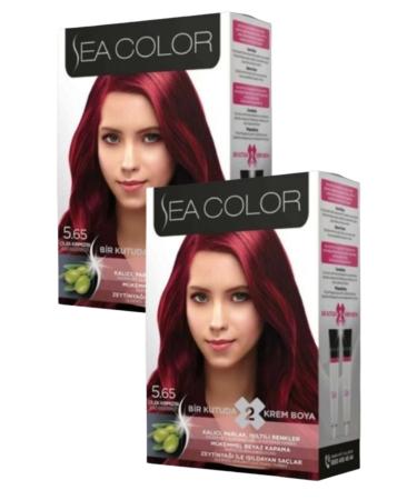 Sea Color 5/65 Hair Dye Strawberry Red 100 ml X 2 Boxes