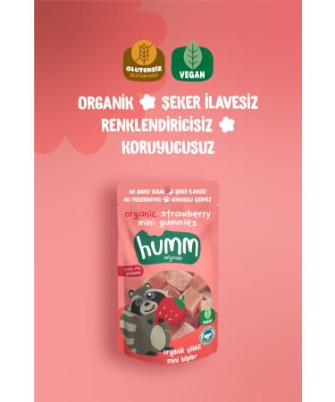 Humm Organic Organic Gluten Free Vegan Strawberry Mini Cubes Snack Pack - 6 Pieces - Buy Online on GoSupps.com