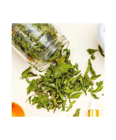 Drug-free Market Medicinal Mint / 50 gr. - Buy Online on GoSupps.com