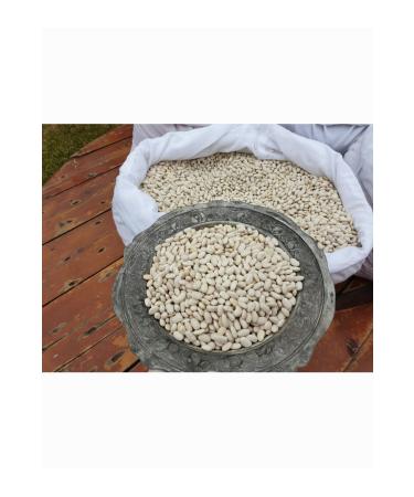Kg Dried Food Dry Beans (3 Kg) - Buy Online on GoSupps.com