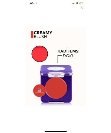 Flormar Metaglam 02 Galactic Red Blush