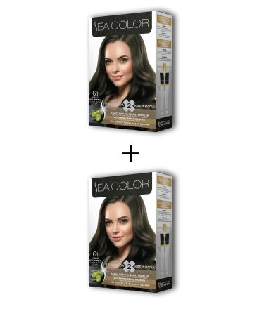 Ziya Digital 2X2 Tube Cream Hair Dye Set Ash Dark Blonde No: 6.1