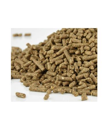 Nar m 2 Kg Pellet Protein Special Chicken Goose Duck and Poultry Fattening Egg Feed 2 Kg - Buy Online on GoSupps.com