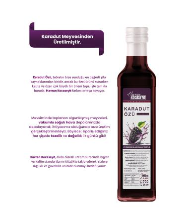 HAVRAN KOCASEYIT Black Mulberry Extract 700 gr - Buy Online on GoSupps.com