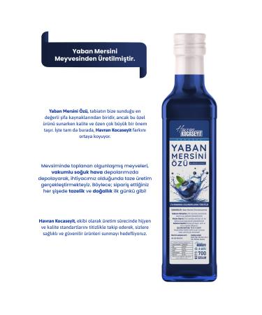 Blueberry 700 gr - Buy Online on GoSupps.com