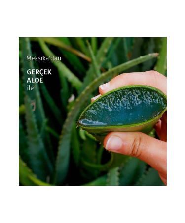 Herbal Essences Soothing Aloe Shampoo 350 ml x2 - Buy Online on GoSupps.com