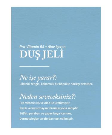 Bath & Body Works Into The Night Shower Gel 295 ml - Buy Online on GoSupps.com