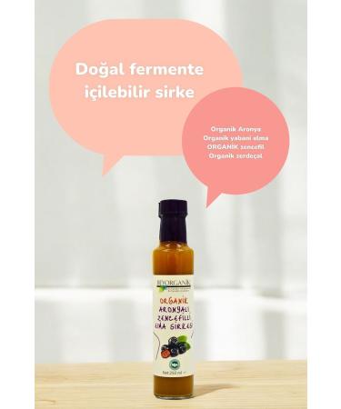 BEYORGANIC Organic Aronia Ginger Apple Cider Vinegar 250ml - Buy Online on GoSupps.com