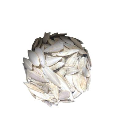 mn mammamia mix 250 G Piece Squid Bone 250 gr