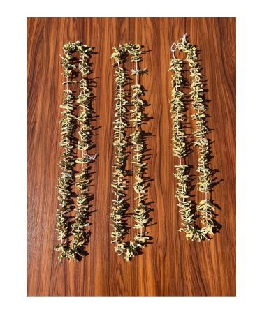 Kg Dried Food Bean Dried 3 Series