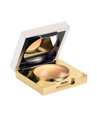 Arden Flawless Maximum Coverage Medium Concealer 2.9 G