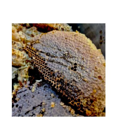 Hakkari Honey Hakkari Genuine Comb Honey 1.5 Kg - Buy Online on GoSupps.com