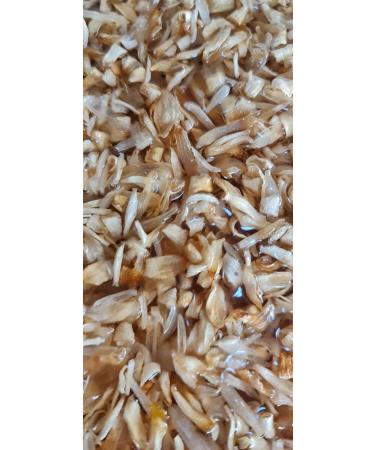 MERCANYORESEL 100% Natural Hatay Style Orange Blossom Jam 230 Gr - Buy Online on GoSupps.com