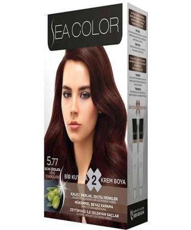 HELSOL Set Paint 5.77 Hot Chocolate