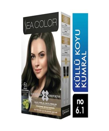 Set Paint 6.1 Ash Dark Blonde