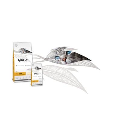 G LEN MARKET Molly Chicken Adult Cat Food 1 kg Transparent Packaging