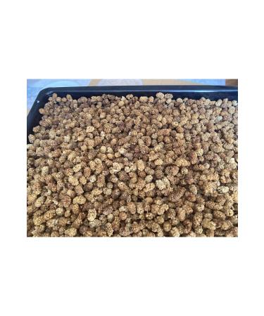 Ba De irmenler zmir Torbal Natural White Mulberry Dried 1 Kg (NEW SEASON 2024-25) - Buy Online on GoSupps.com