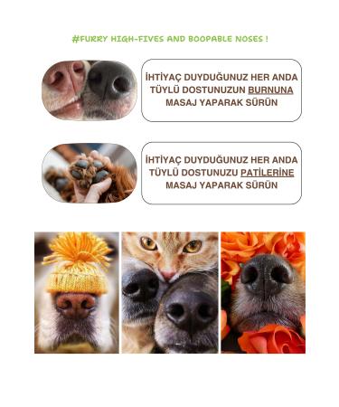 Greenwich Zero Point of Beauty Paw Nose Moisturizing Balm Vegan Organic Content Natural Cat Dog Crack Protection Care Cream 50 ml - Buy Online on GoSupps.com