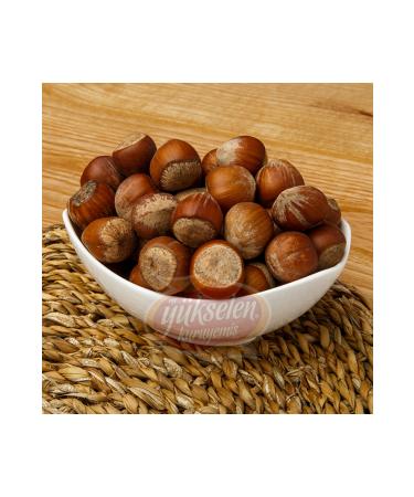 AEGEAN Y KSELEN Hazelnuts in Shell 500gr