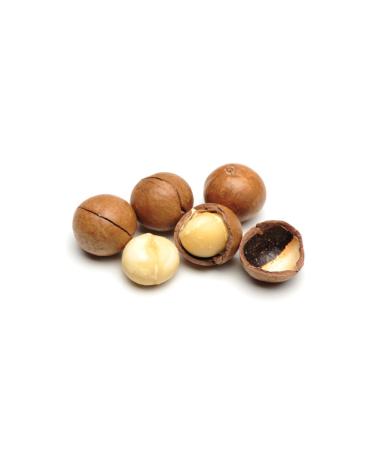 nusnus Roasted Macadamia Nuts in Shell 1kg - Buy Online on GoSupps.com
