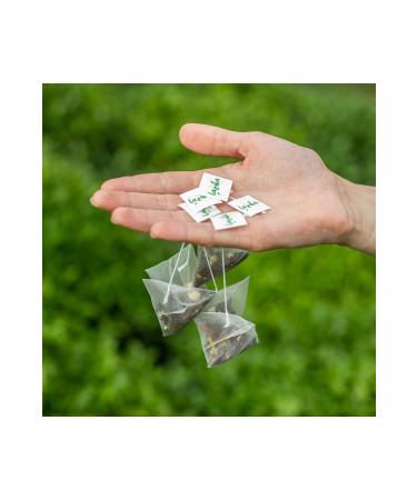 LAZIKA (SET OF 2) Green Blend Green Tea - Orange-rose Pyramid Bag - Buy Online on GoSupps.com