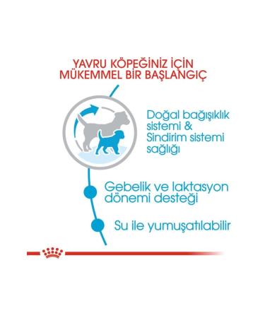 Royal Canin Mini Starter Small Breed Puppy and Mother Dog Food 3 Kg - Buy Online on GoSupps.com