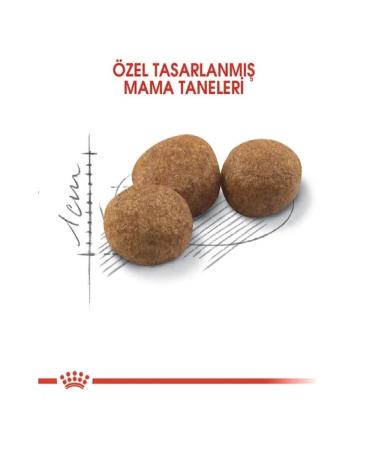 Royal Canin Sterilised 37 Neutered Cat Dry Food 2 kg - Buy Online on GoSupps.com