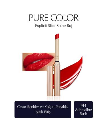 Estee Lauder Nourishing Lipstick That Makes Lips Brighter and Equal Lasting All Day Long-914 Passi.3994