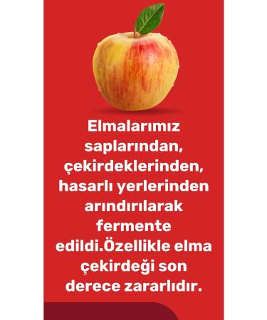 Karayayla Energetic Body Strong Memory. Ginseng and Ginko Biloba Prebiotic Organic Apple Cider Vinegar 1000 ml - Buy Online on GoSupps.com