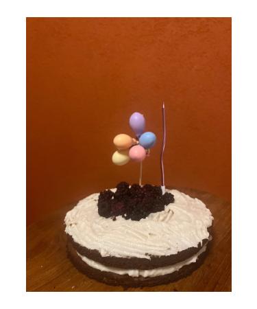 THENO GLUTEN FREE REFINED SUGAR FREE VEGAN CELEBRATION CAKE MIX WITH CREAM - Buy Online on GoSupps.com