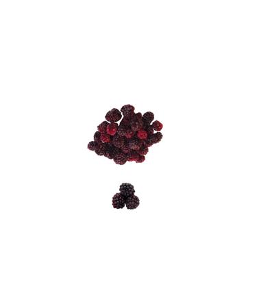 Little Crunchies Freeze Dried Blackberries 3 Pack - Freeze Dried - 3x20 Gr. - Buy Online on GoSupps.com