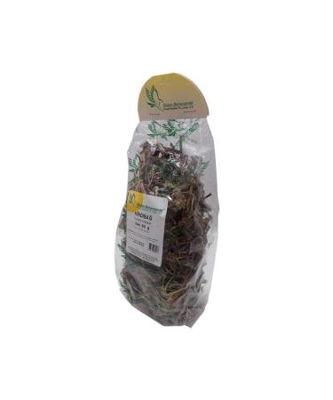 opencart New Season Clez Chicory Leaf Herb Natural 50 Gr Package Campaign