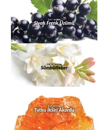 Avon Attraction Awaken Women's Body Lotion 125 Ml. Set of Two - Buy Online on GoSupps.com