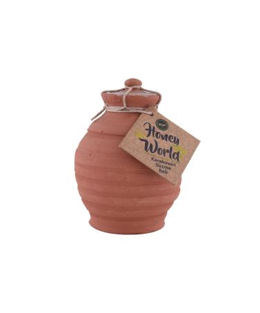 Honey World Organic Pure Karakovan Honey 500 gr Pottery Jar