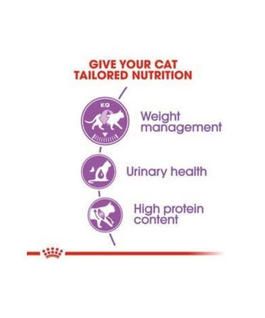 Royal Canin Sterilized 2 Kg Sterilized Cat Food - Buy Online on GoSupps.com