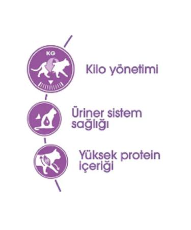 Royal Canin Sterilised 37 Sterilised Cat Food 2 Kg - Buy Online on GoSupps.com