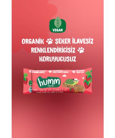 Humm Organic Organic Vegan Strawberry and Hazelnut Oatmeal Bar - 12 pieces - Buy Online on GoSupps.com