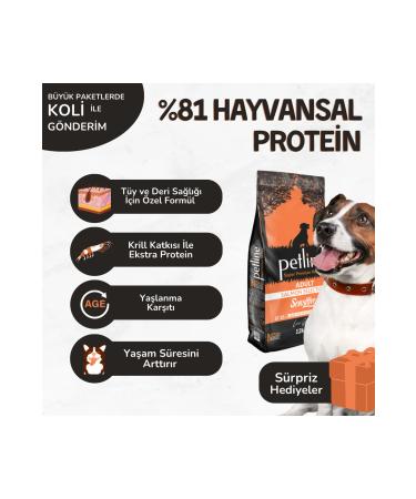 Petline Sensitive Skin Adult Dog Food with Salmon 12kg- Sensitive