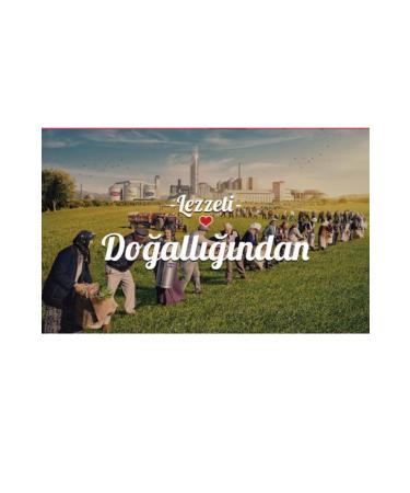 Torku FAVOR MO CAKE WITH COCOA AND HAZELNUT 35 GRAMS 24 PIECES - Buy Online on GoSupps.com