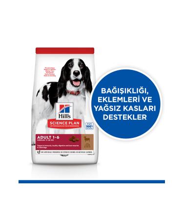 Hill's SCIENCE PLAN Lamb Medium Breed Adult Dog Food 14 Kg - Buy Online on GoSupps.com