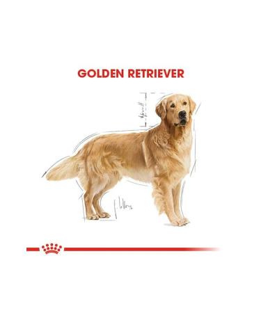 Royal Canin Dog Golden Retriever Dog Food 12 Kg - Buy Online on GoSupps.com
