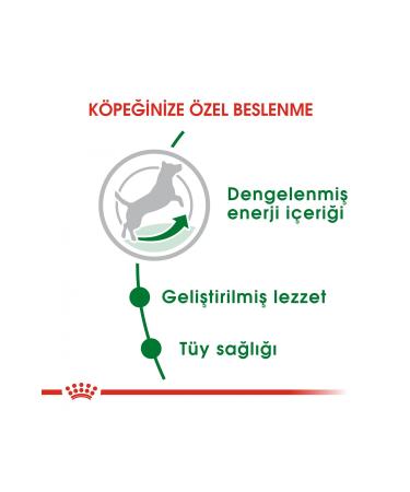 Royal Canin Mini Adult Dog Food 2 Kg - Buy Online on GoSupps.com