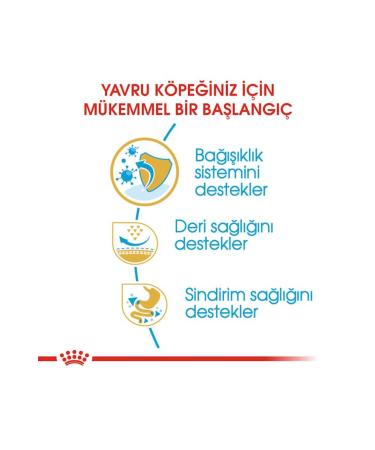 Royal Canin Pug Breed Junior Puppy Food 1.5 kg - Buy Online on GoSupps.com