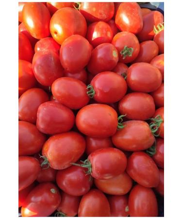 Turkan Natural Products Tomato Paste-2 pieces- 660 cc Jars