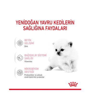 Royal Canin Cat Milk Powder 300gr - Buy Online on GoSupps.com