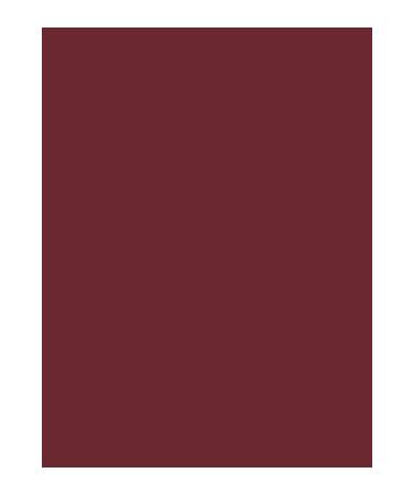 lykd Cran balm Intensive Moisturizing Tinted Lip Balm Moisturizing Lip Balm - Buy Online on GoSupps.com